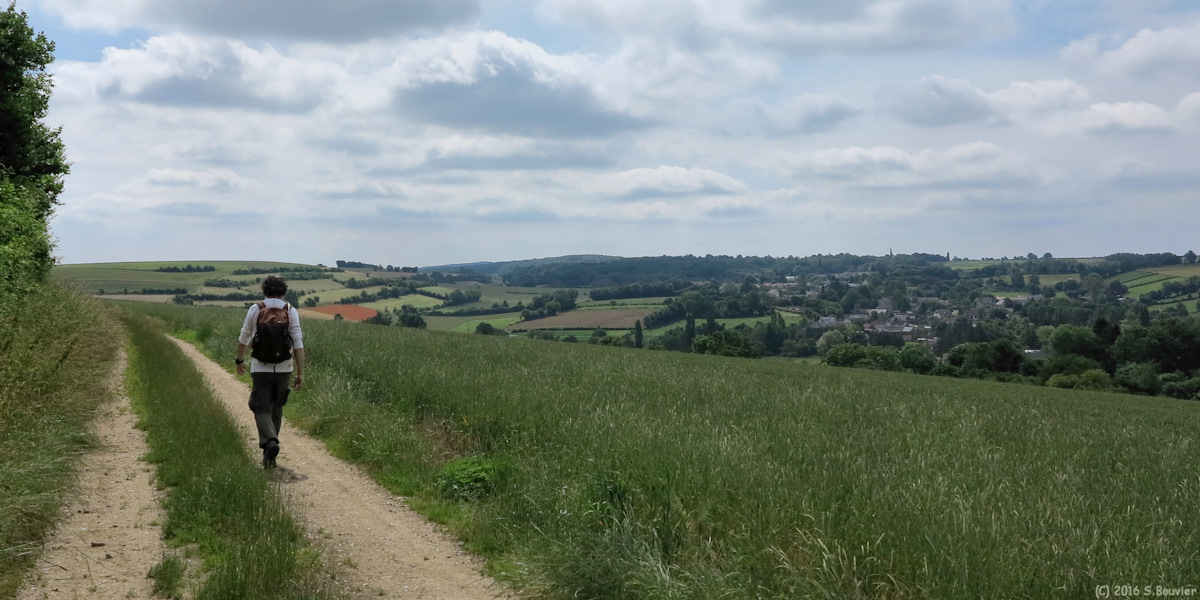 Hanvoile (Chemin)