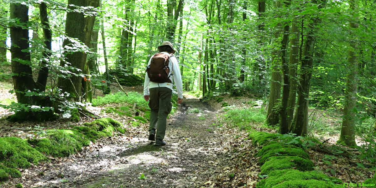 Glatigny (Chemin)