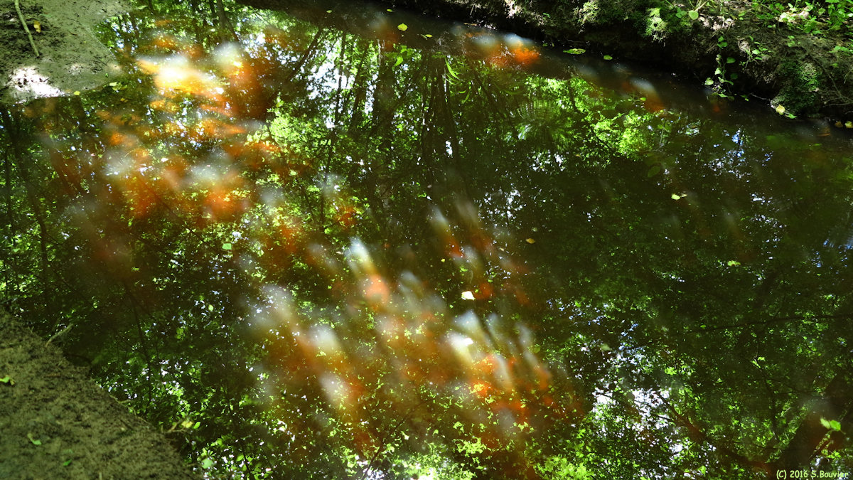 Hodenc en Bray (Reflets)