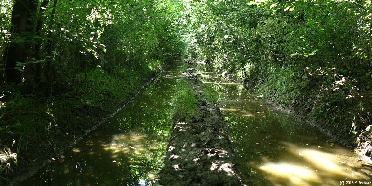Villembray (Chemin)