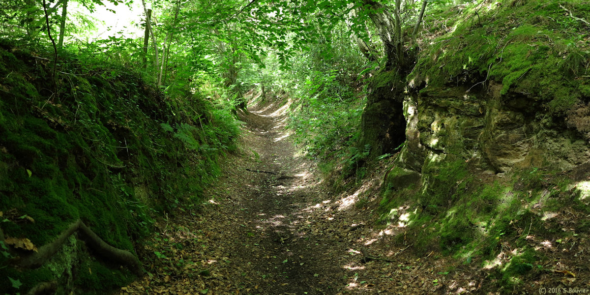 Savignies (Chemin)
