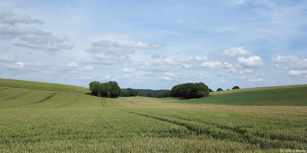 Le Mont Saint Ardrien (Plaine)