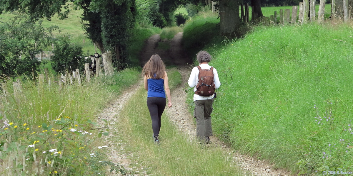 Lalandelle (Chemin)