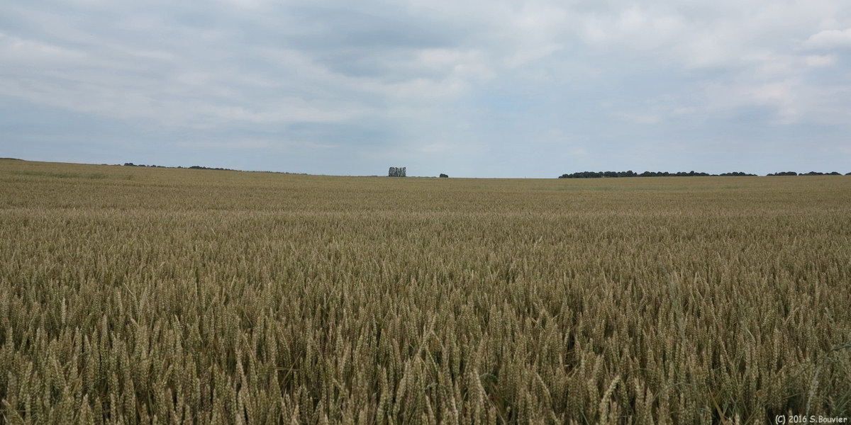 Le Vaumain (Plaine)