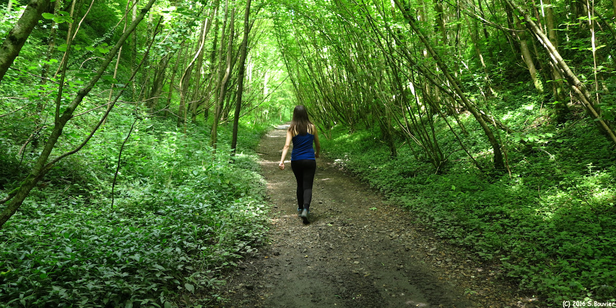 La Houssoye (Ancienne Ligne 2)