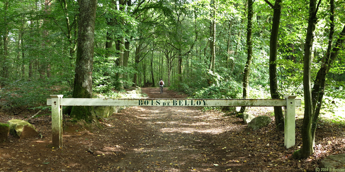 Rainvillers (Bois)