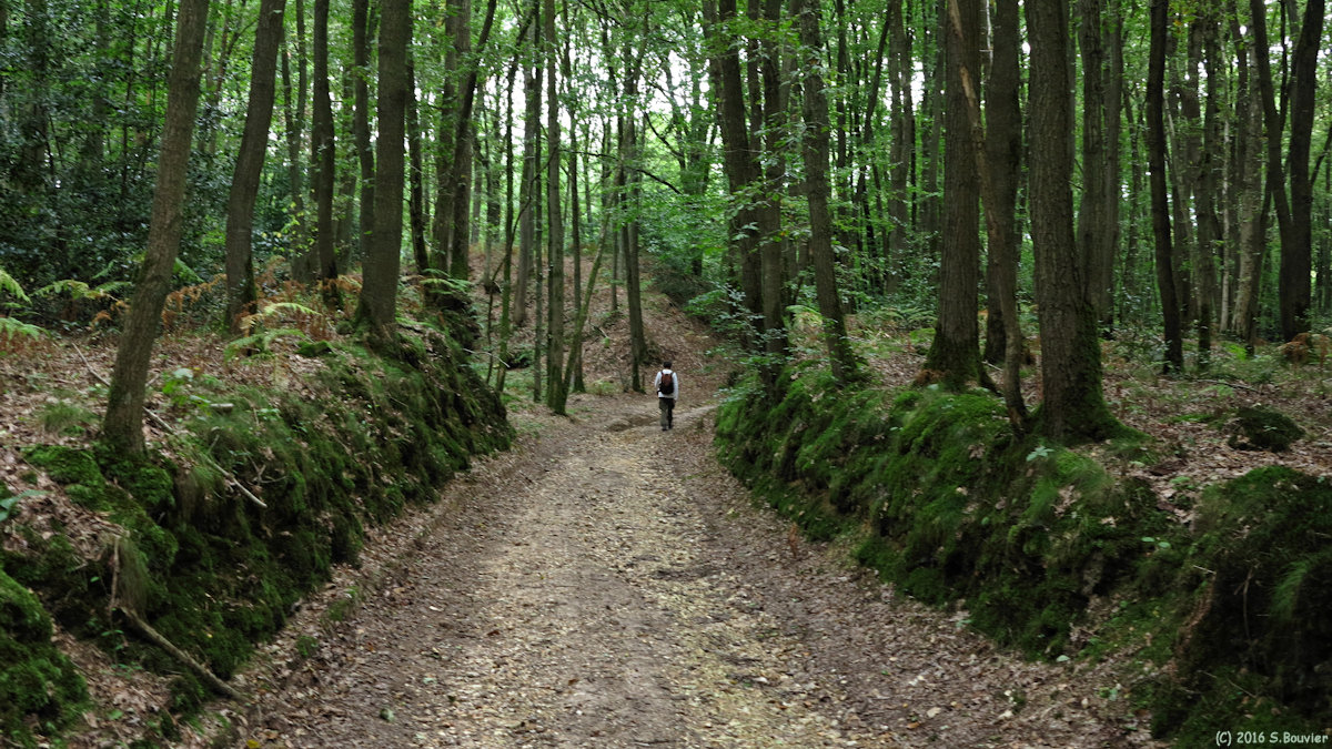 Villers Saint Barthélémy (Chemin)