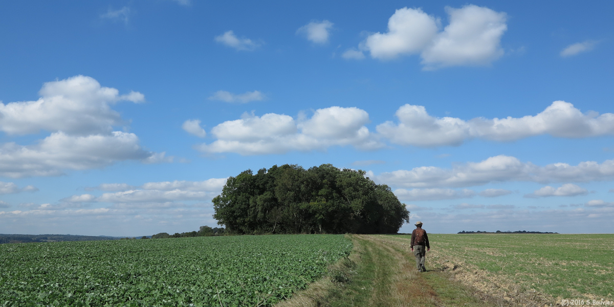 Sully (Chemin 1)