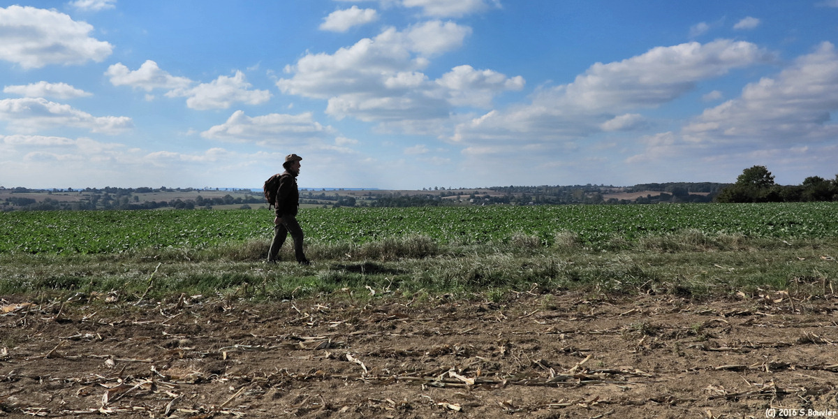 Sully (Chemin 2)