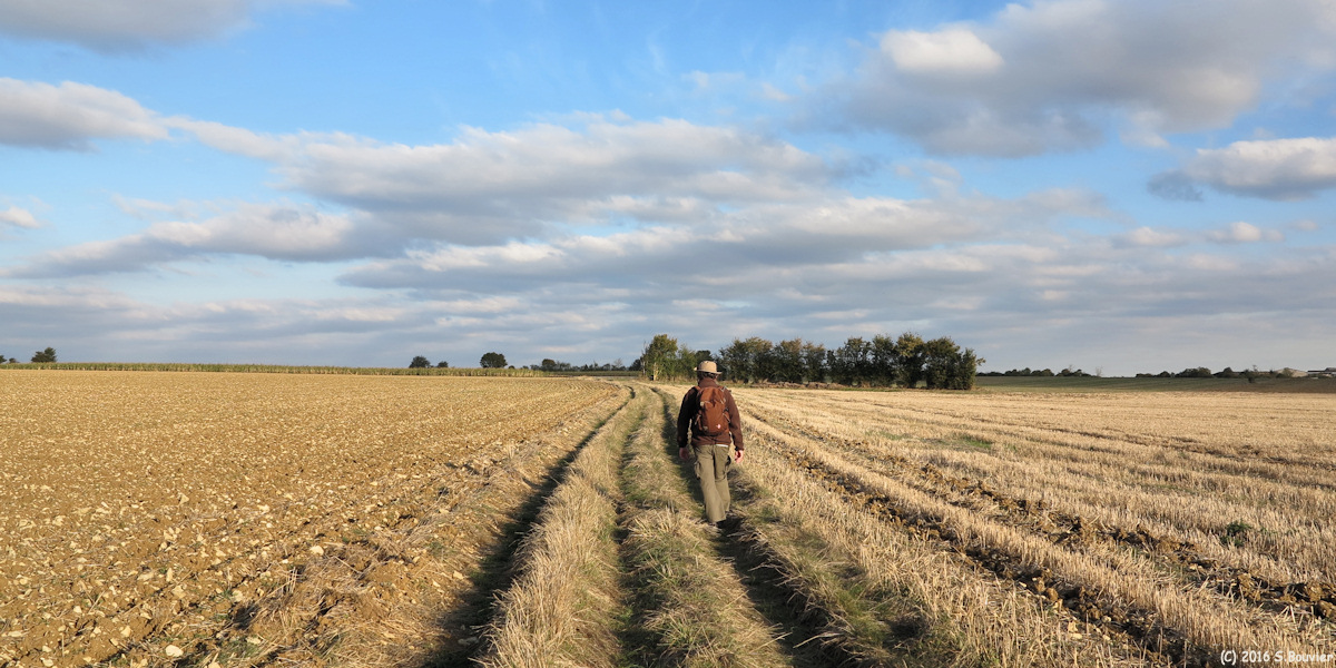 Hannaches (Chemin)