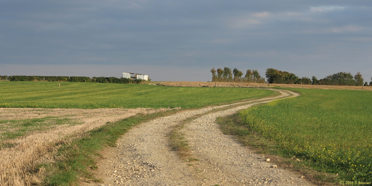Senantes (Chemin)