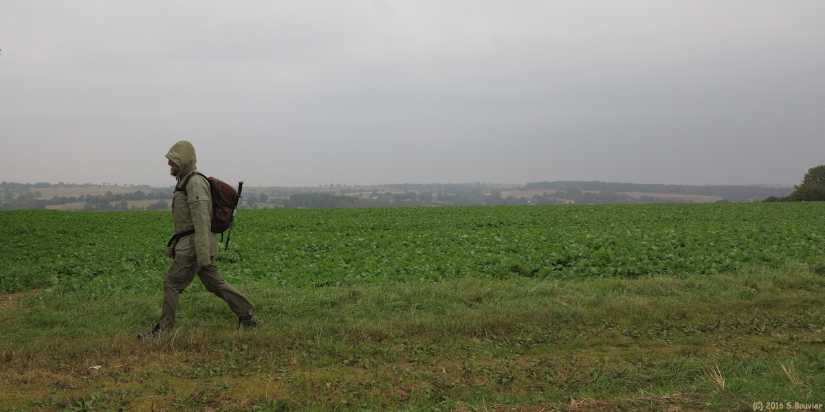 Sully (Chemin 1)