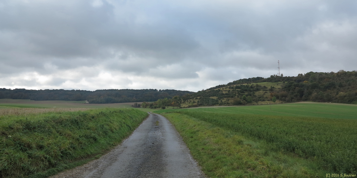 Berneuil en Bray (Mont 1)