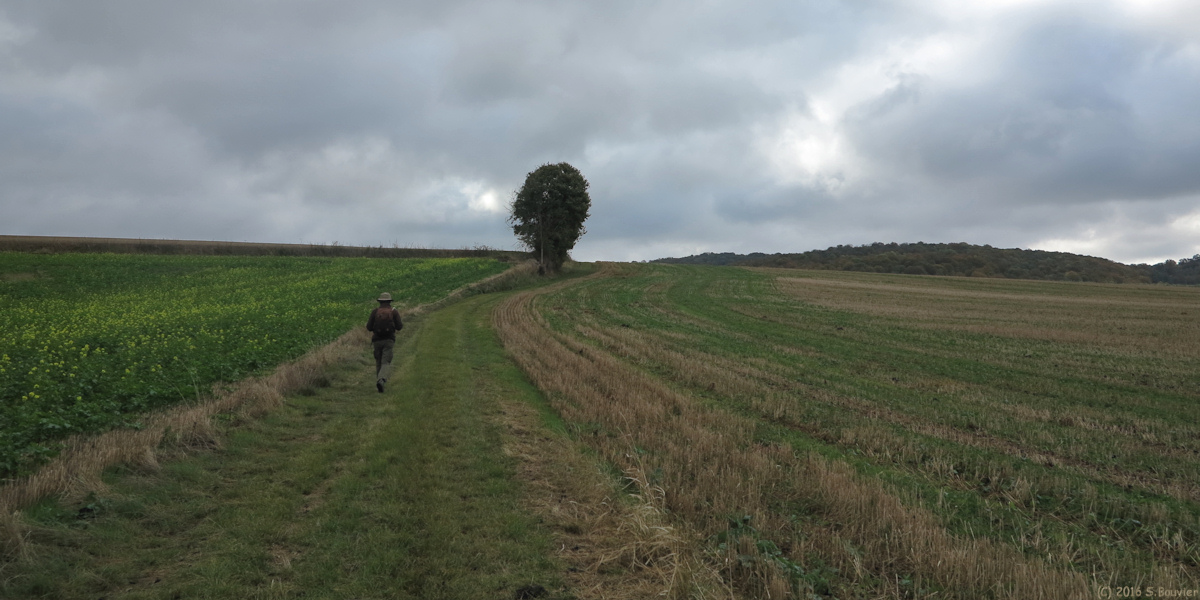 Berneuil en Bray (Chemin 1)