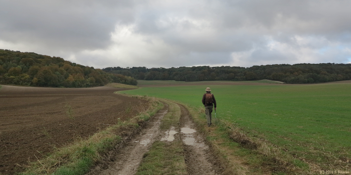 Berneuil en Bray (Chemin 3)