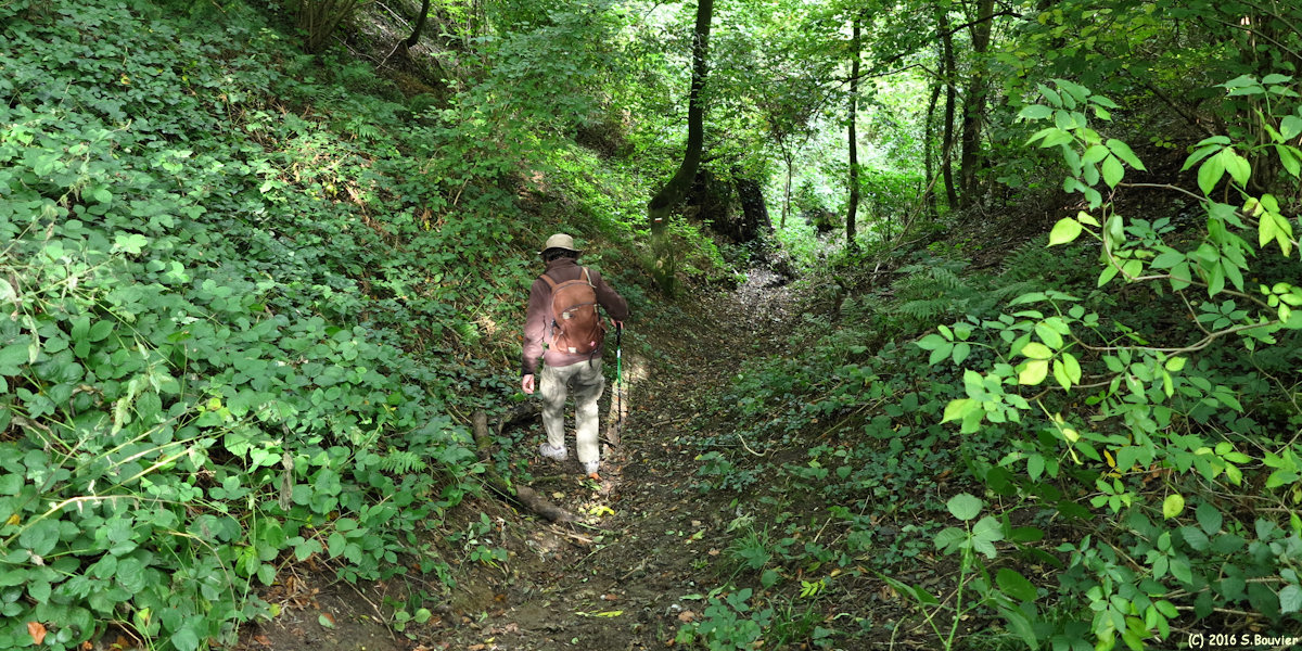 Le Coudray sur Thelle (Sentier)