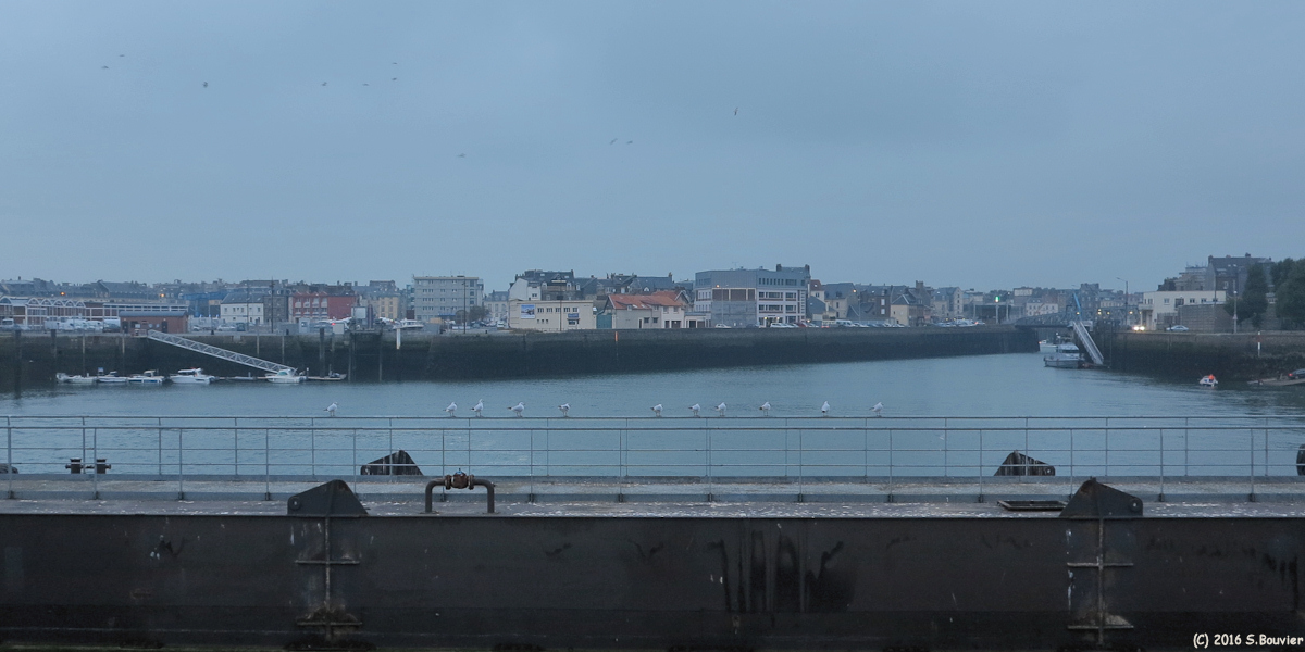 Dieppe (Goélands)