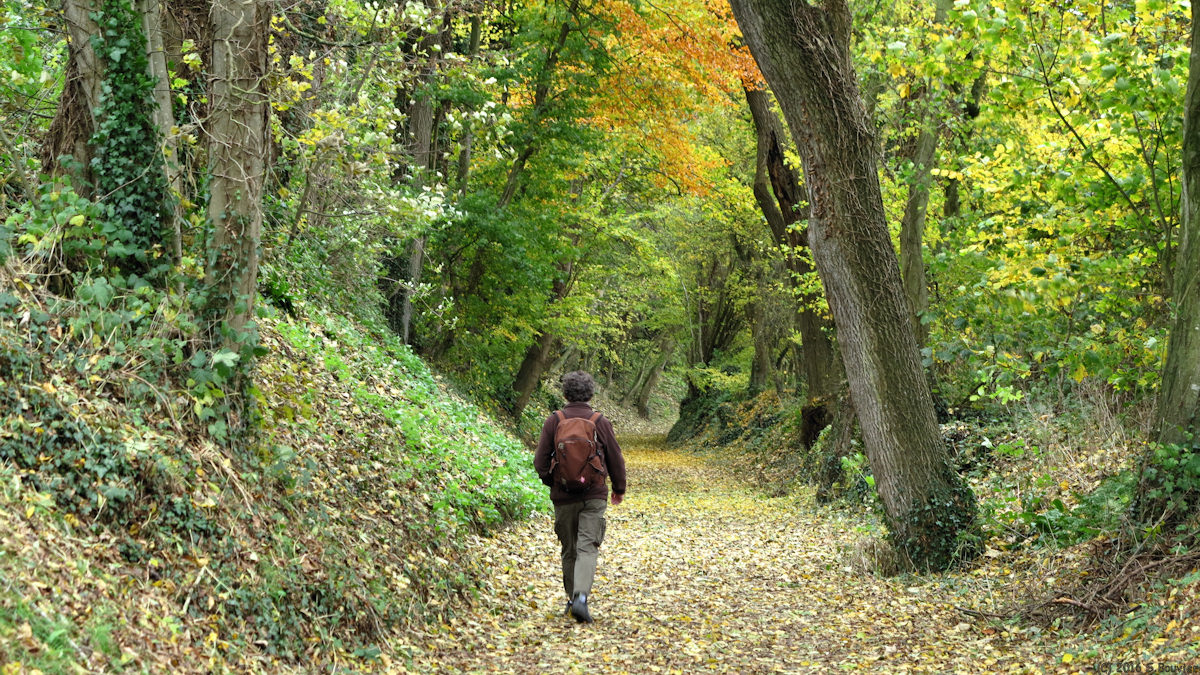 Bracquemont (Chemin 1)