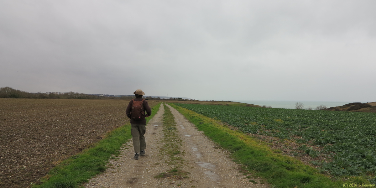 Bracquemont (Chemin 2)