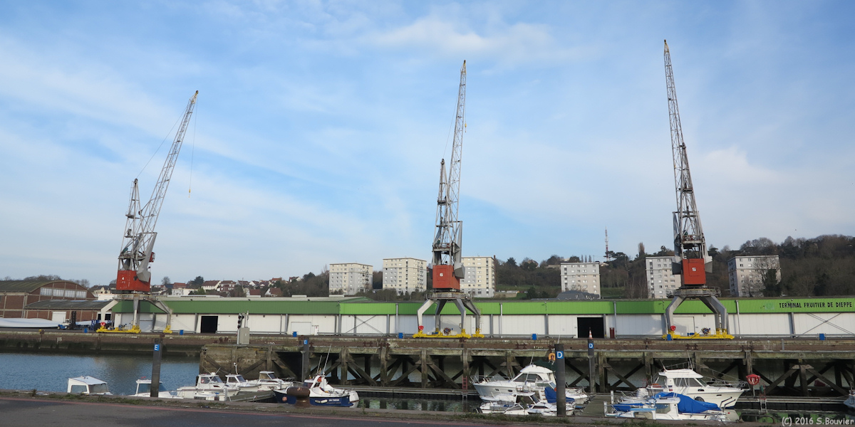 Dieppe (Grues)