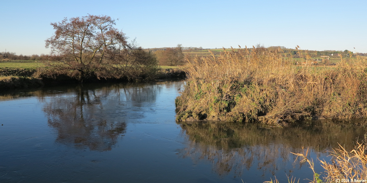Arques la Bataille (Confluence 1)