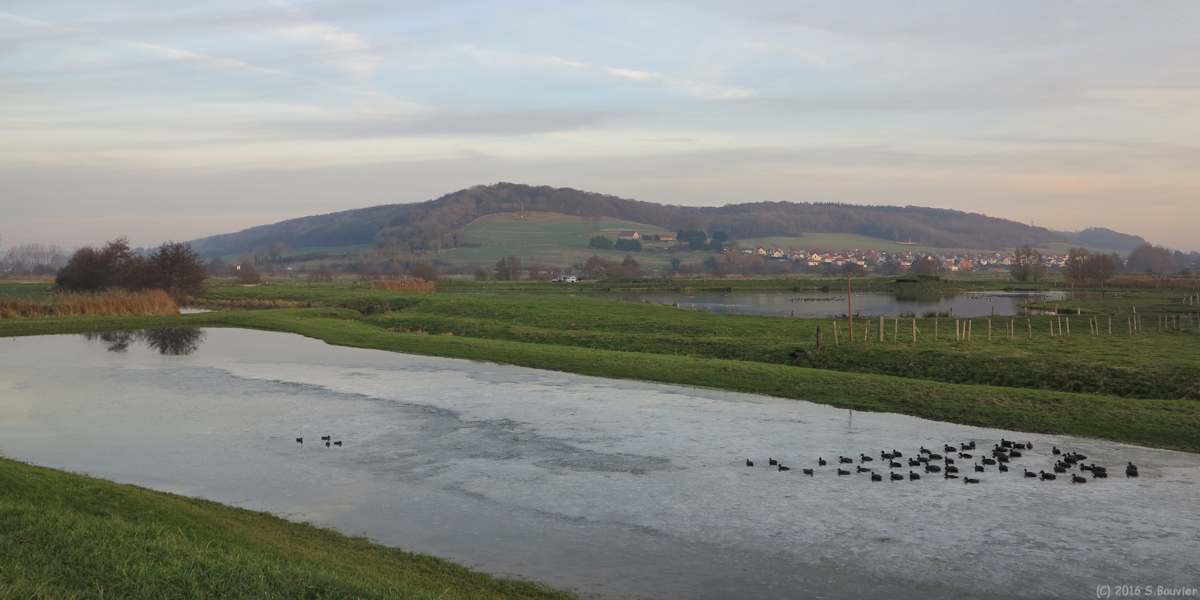 Arques la bataille (Vallée)