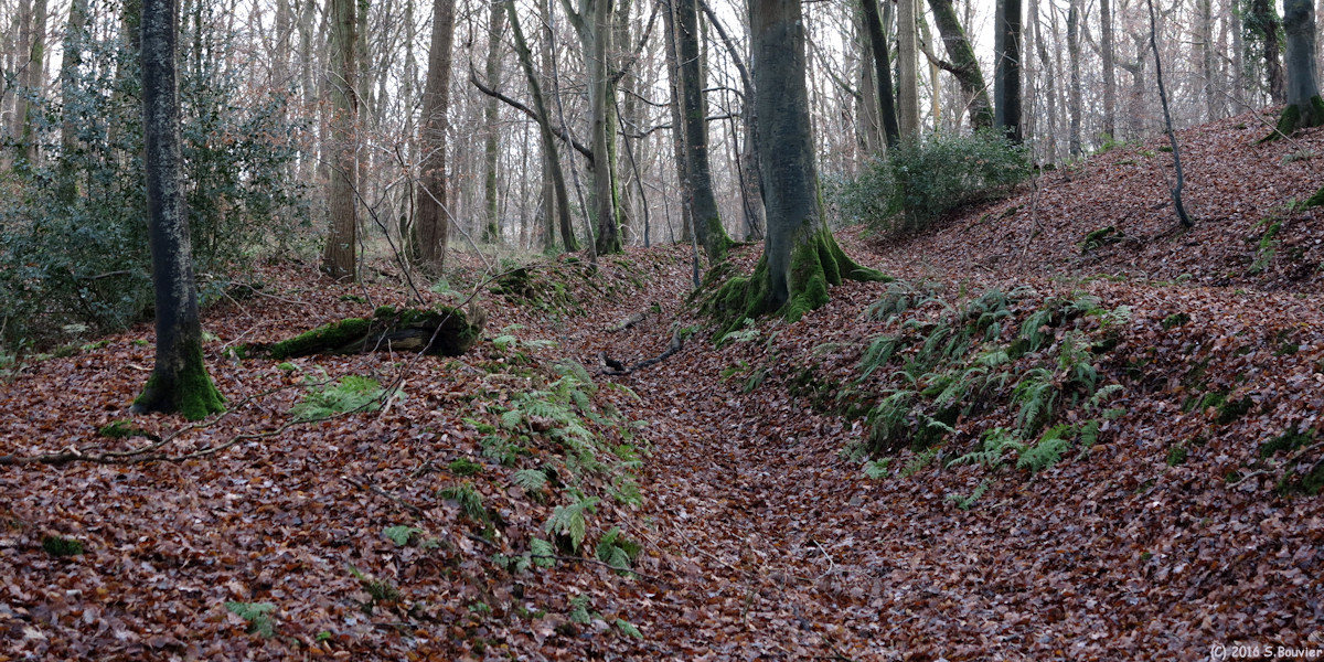 Martigny (Chemin)