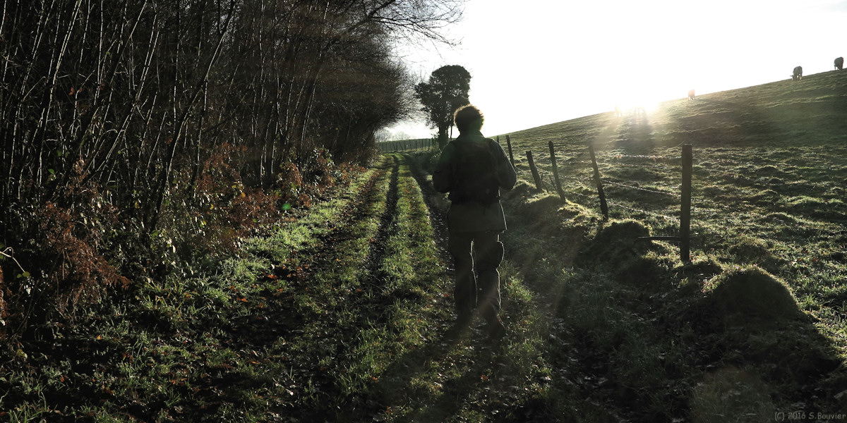Le Bois Robert (Chemin)