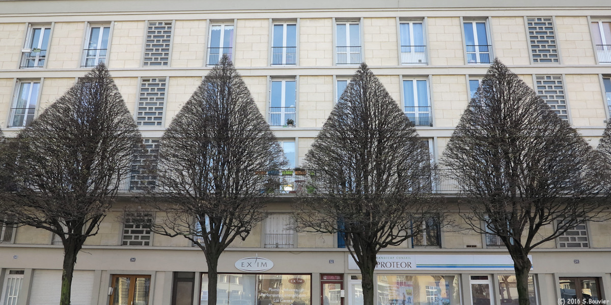 Le Havre (Arbres)