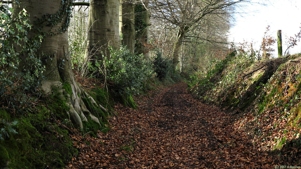 Sainte Foy (Chemin 1)