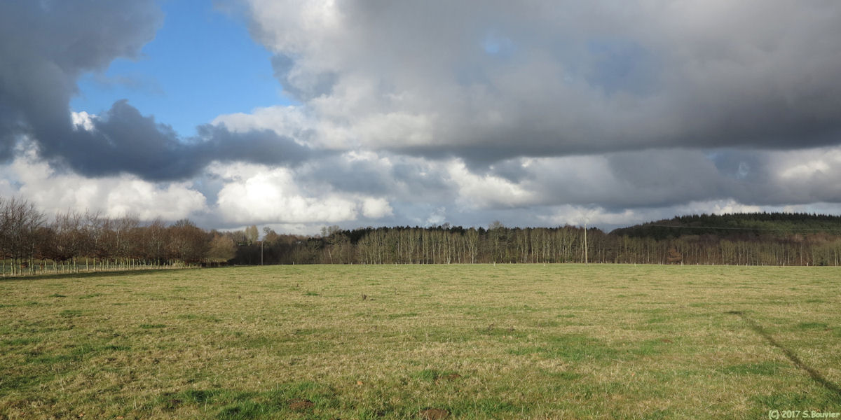 Saint Honoré (Prairie)
