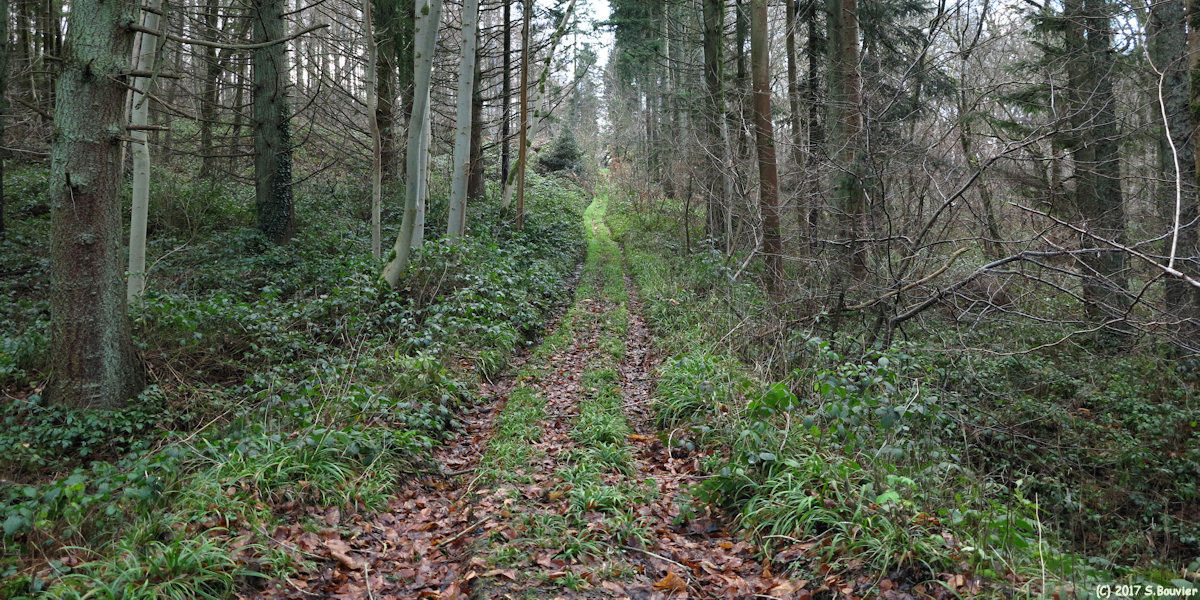 Les Cent Acres (Chemin)