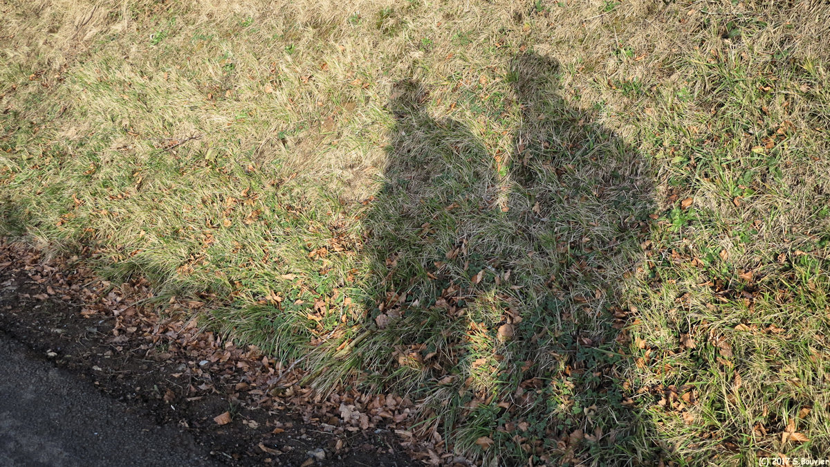 Le Catelier (Ombres)