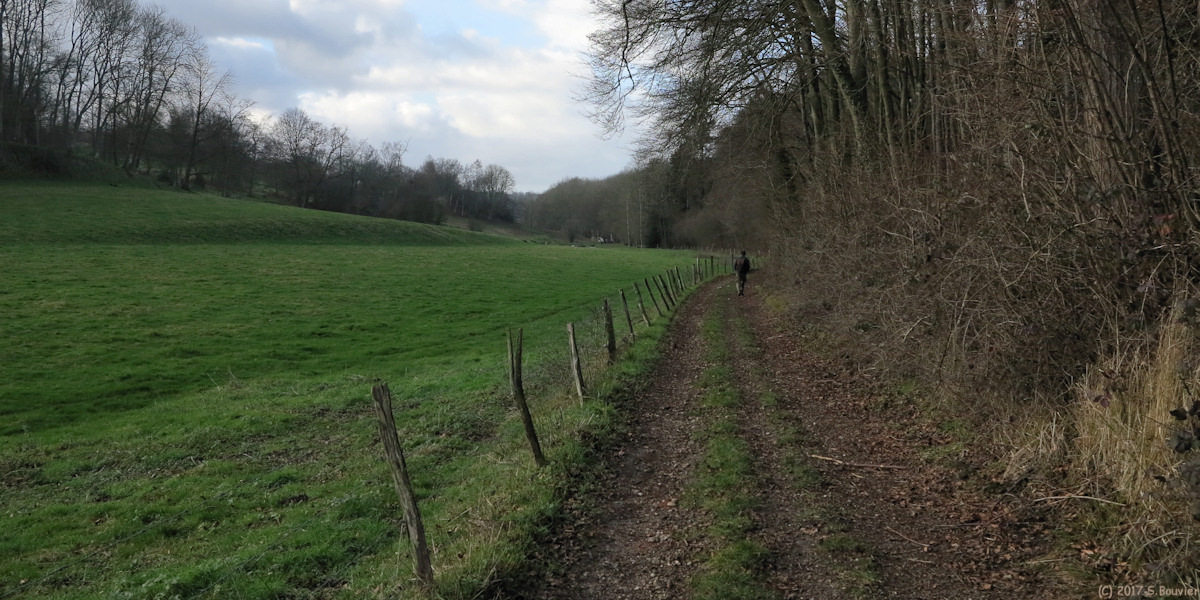 Longueville sur Scie (Chemin)