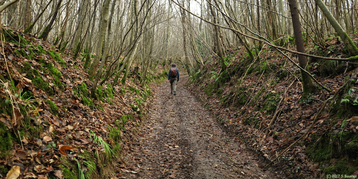 Saint Crespin (Chemin)