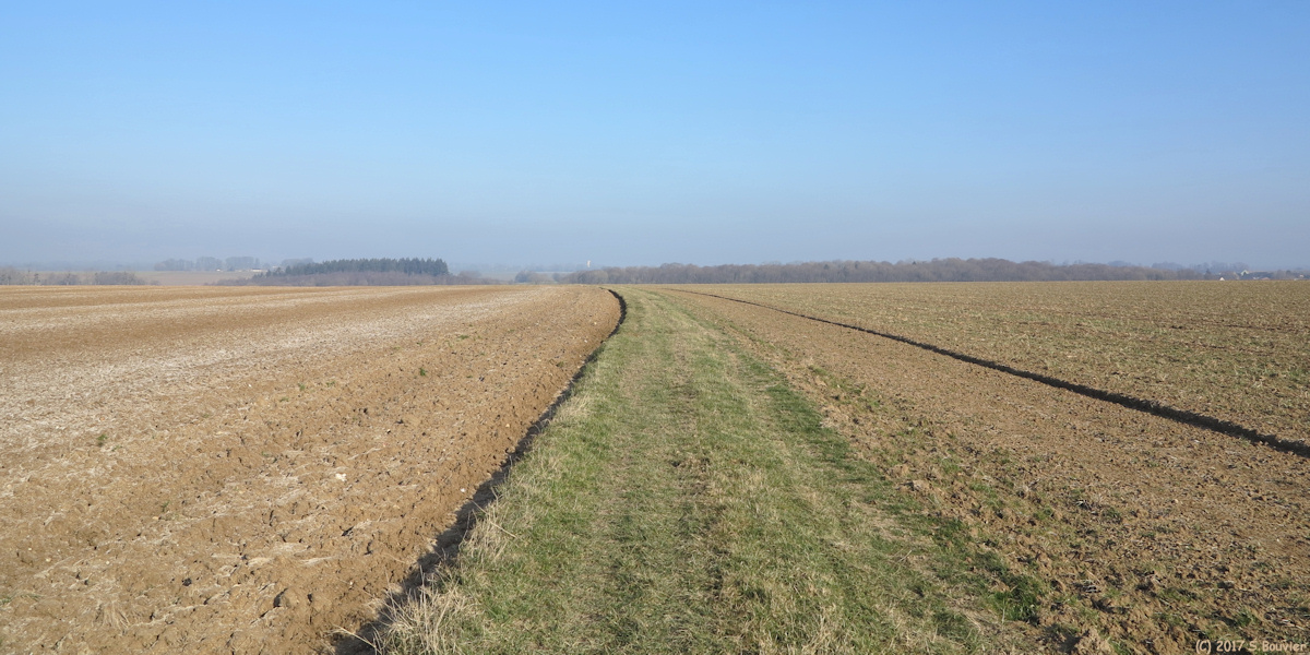 Heugleville sur Scie (Chemin)
