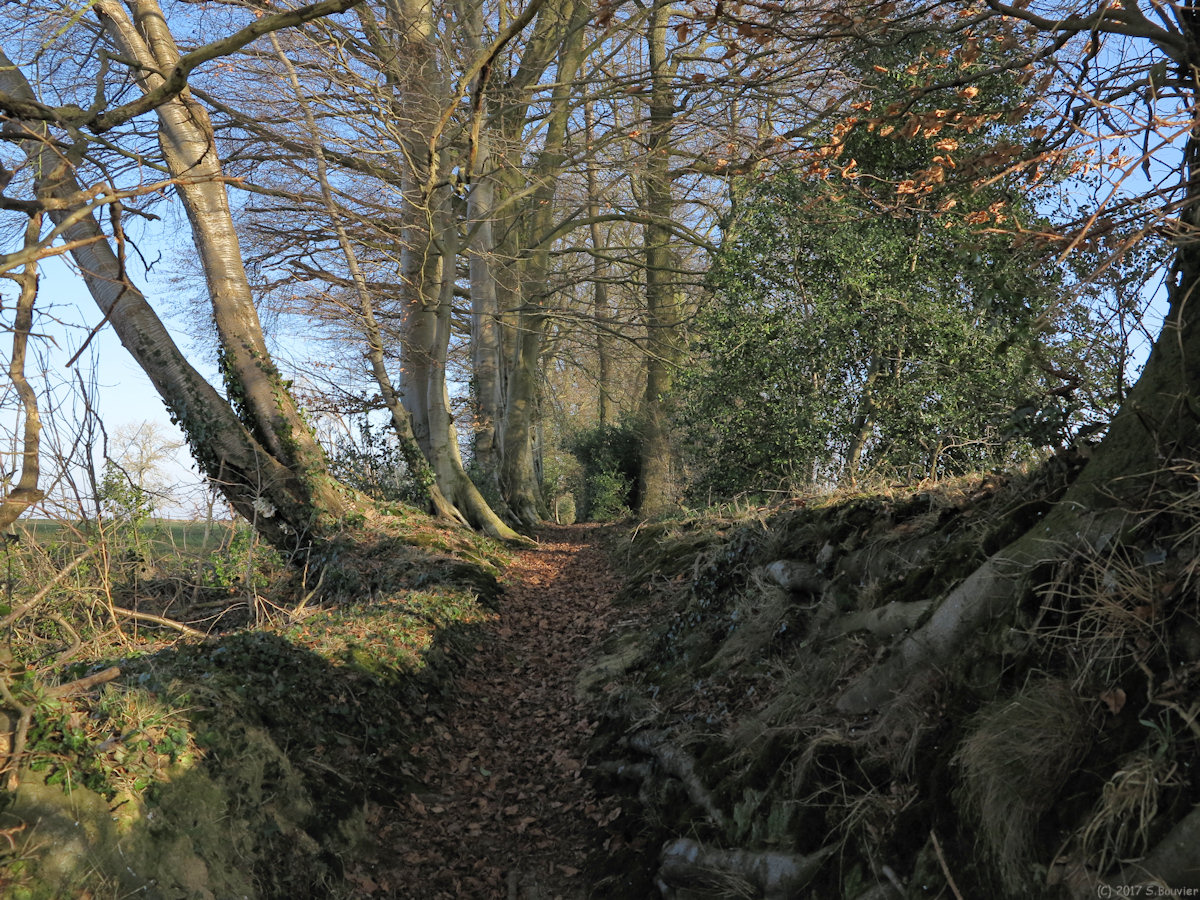 Le Catelier (Sente 1)