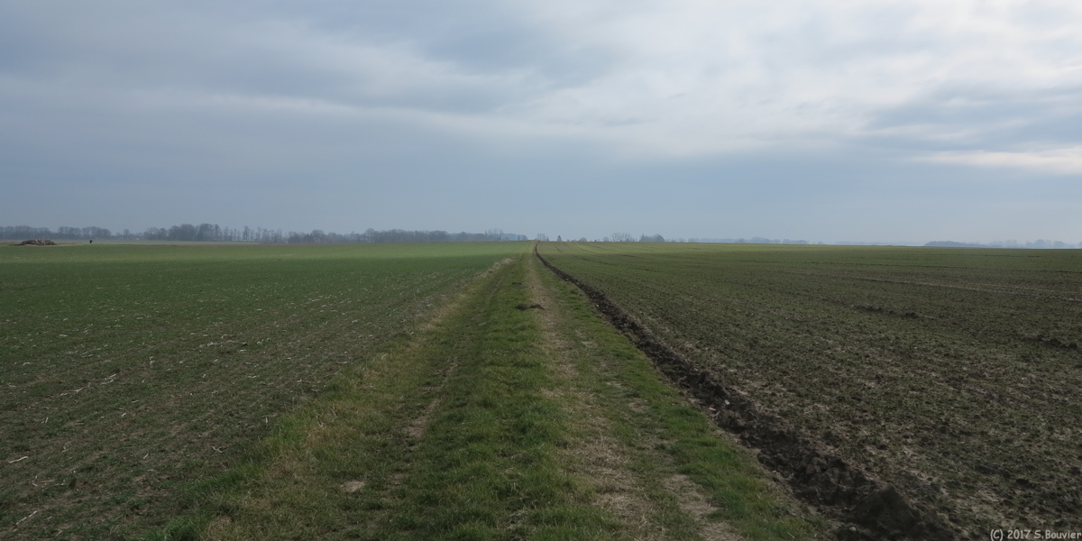 Montreuil en Caux (Chemin)