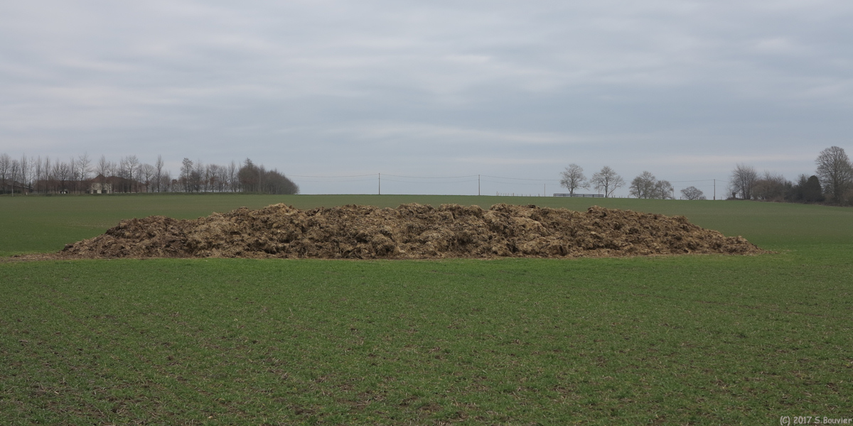 Montreuil en Caux (Fumier)