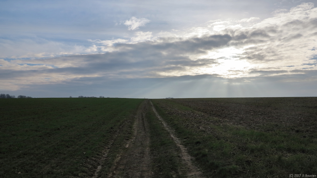 Heugleville sur Scie (Chemin)