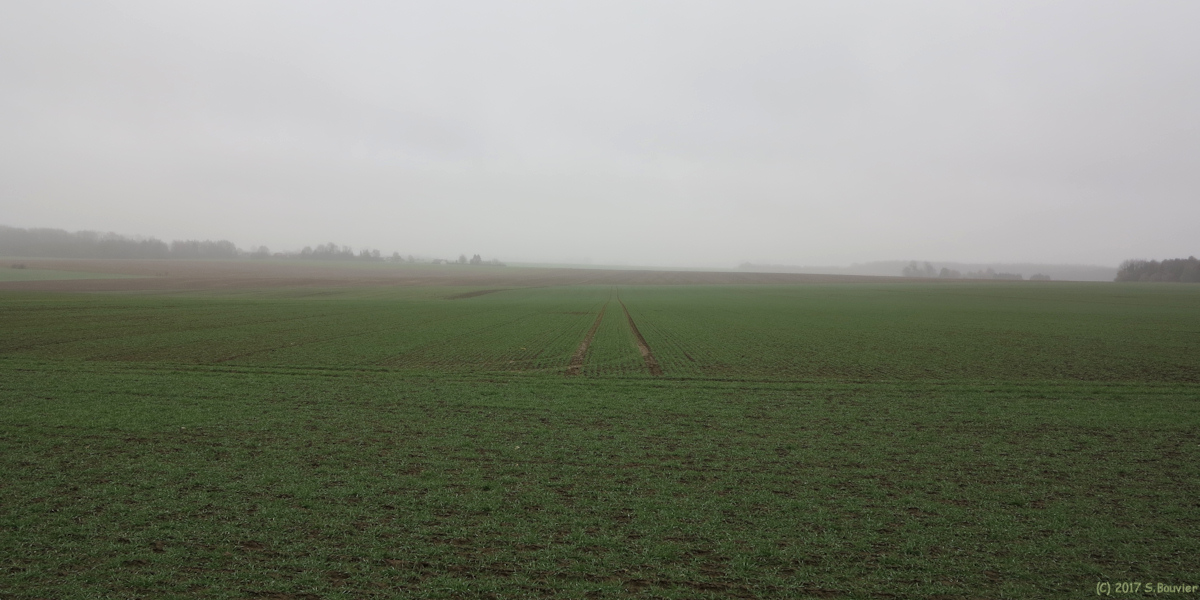 Auffay (Plaine)