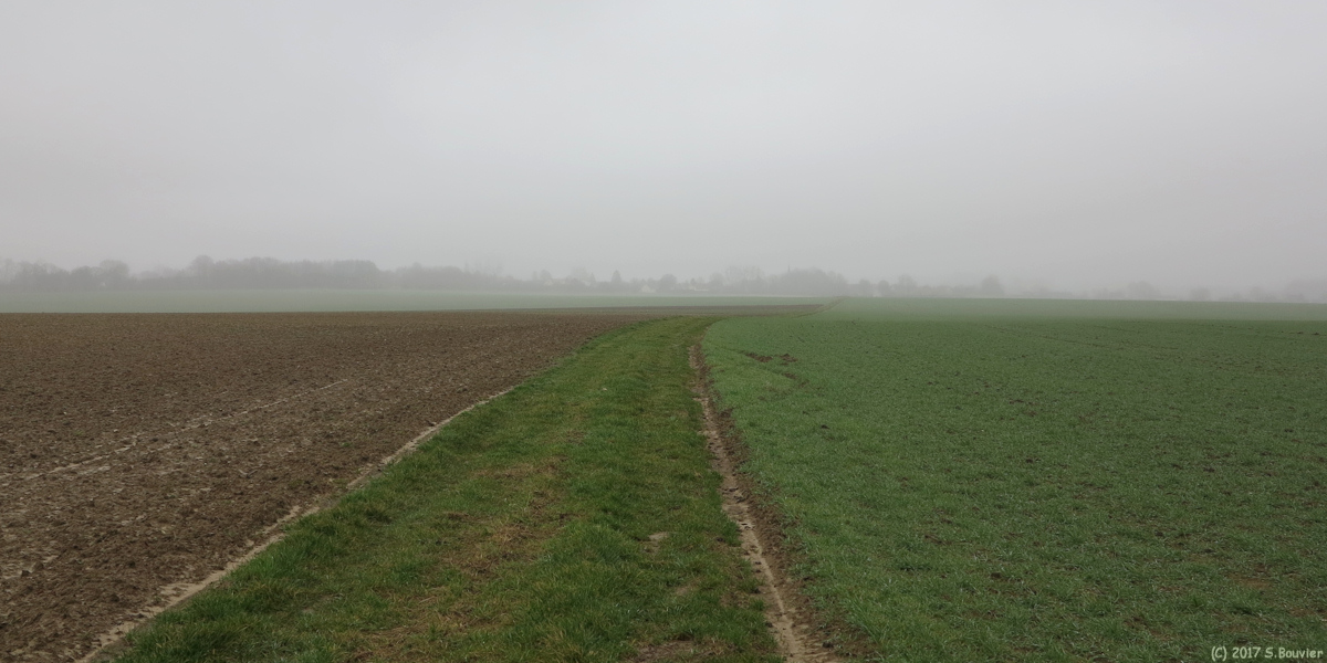 Montreuil en Caux (Chemin)