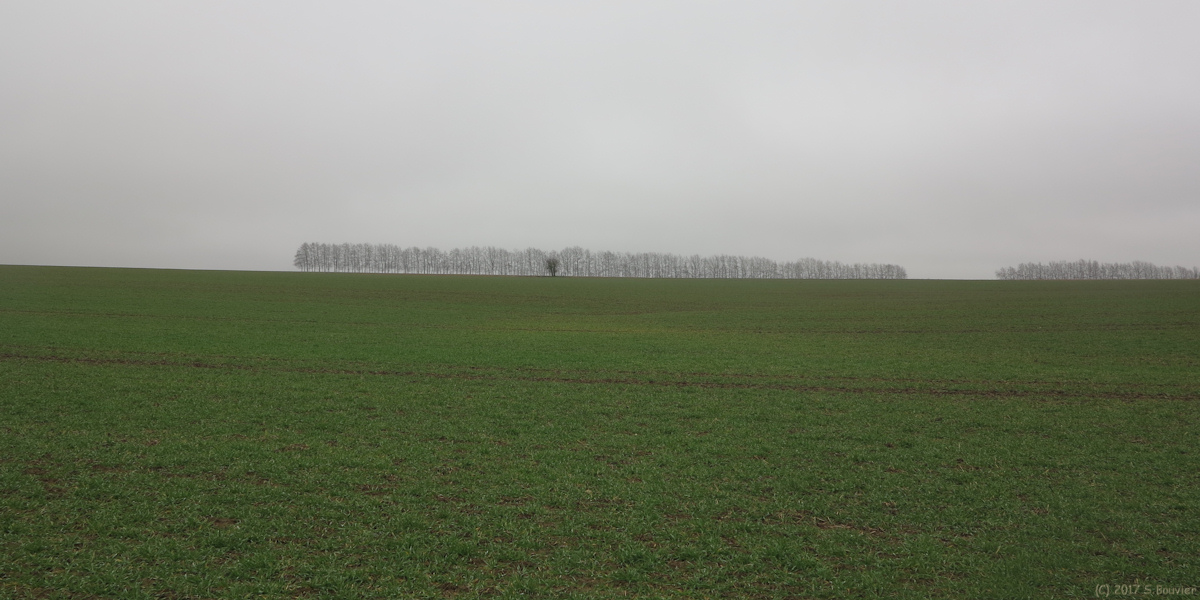 La Crique (Plaine 1)