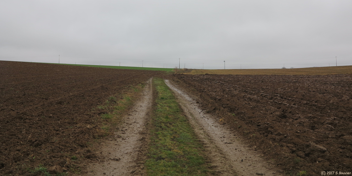 La Crique (Chemin)