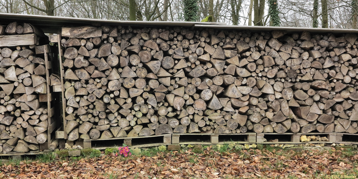Clères (Tas de Bois)