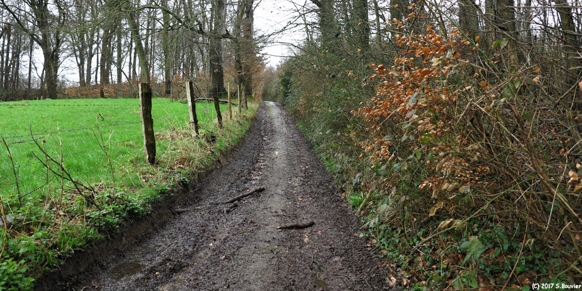 Criquetot sur Longueville (Sente 1)