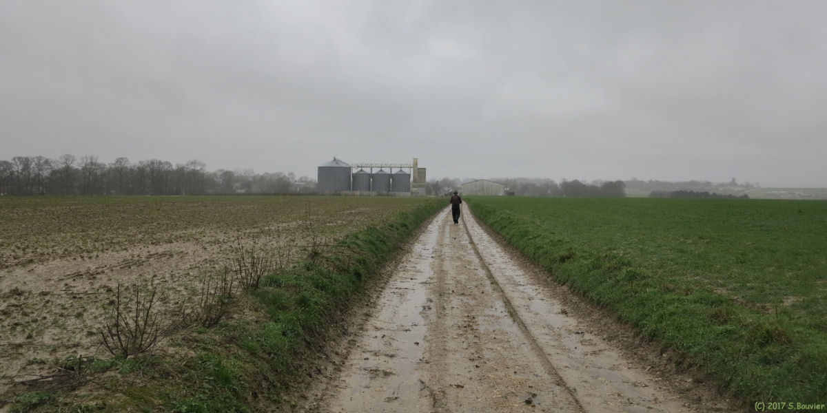 Criquetot sur Longueville (Chemin)