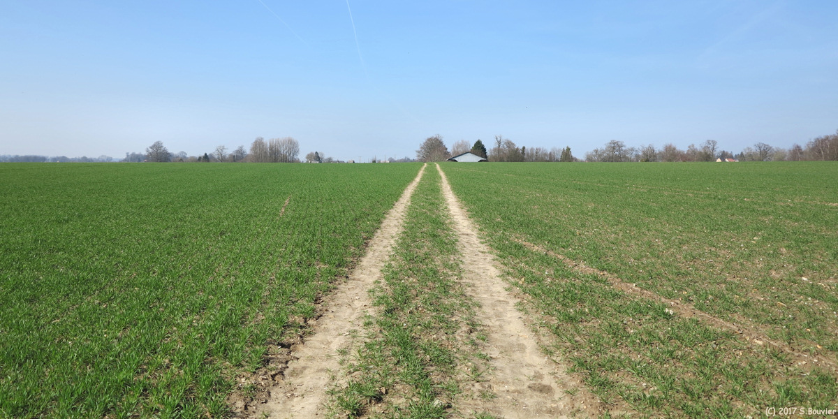 Auffay (Chemin)
