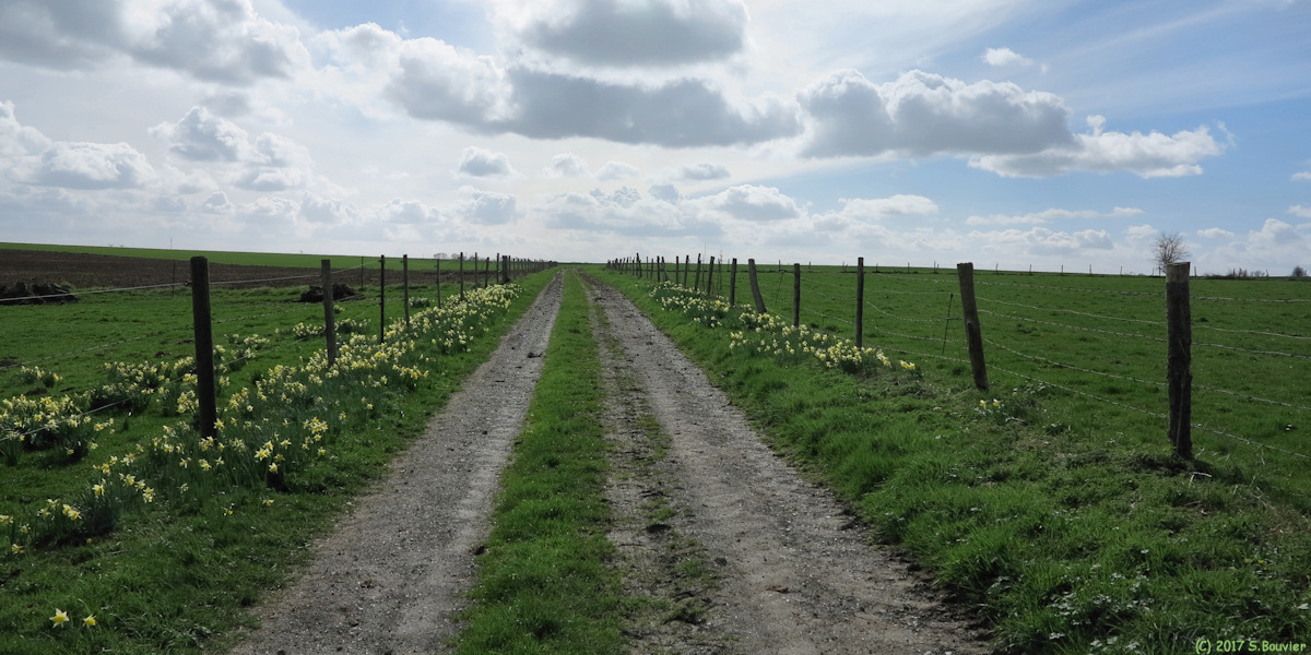 Bracquetuit (Chemin)