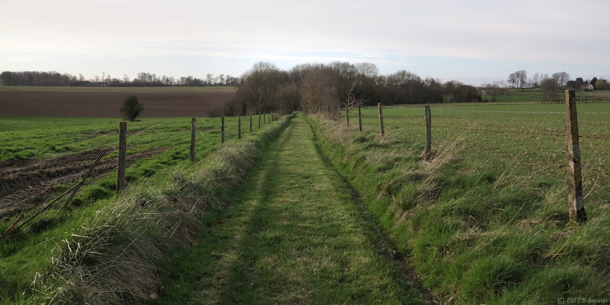 Vassonville (Chemin)